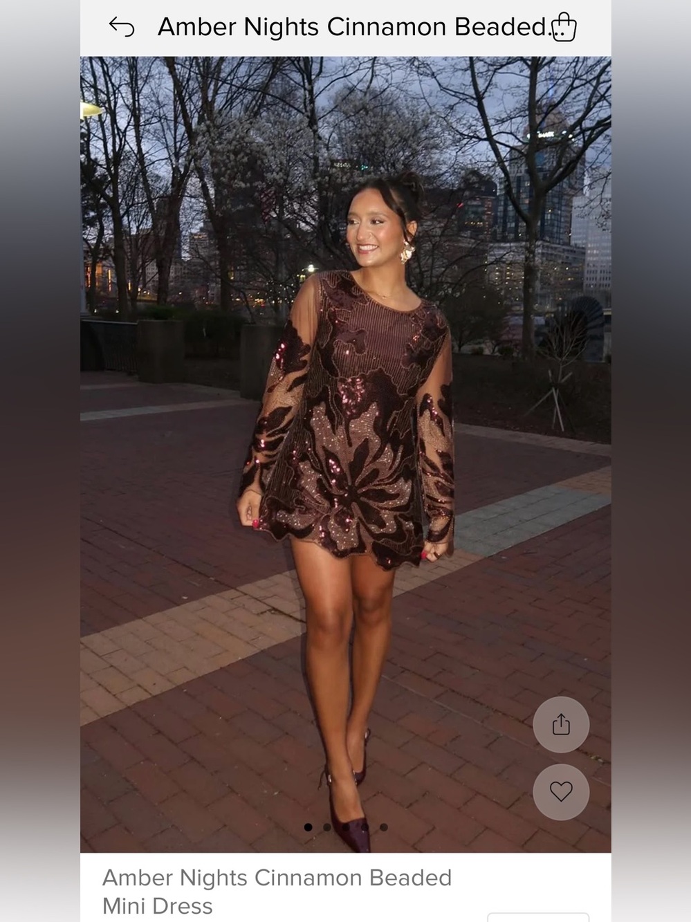 12th Tribe Amber Nights Cinnamon Beaded/Sequined Mesh Dress - Picture 4 of 5